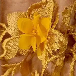 Dress the Population | Dresses | Dress The Population Sidney Illusion Floral  Appliqu Lace Gown Size Xs | Poshmark